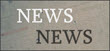 KatNews