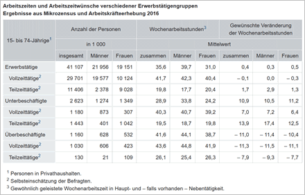 Arbeitskräfteerhebung 2017