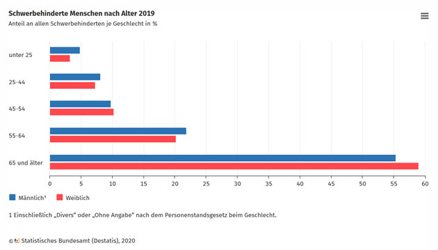 Schwerbehinderte 2019