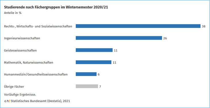 Studierende nach Fächergruppen im WS 2020 21