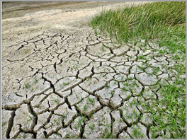 Ausgetrockneter Boden (Klimawandel)